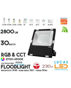 2800LM-30WATTS-RGB-CCT-2700-6500K-OUT-DOOR-LIGHT-FLOODLIGHT-WATERPROOF-IP65-BEAM ANGLE-SIGNAL-30M