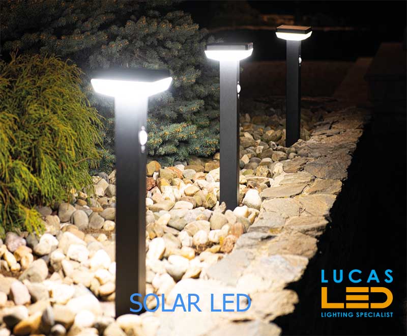PIR Solar LED Bollard/Pillar Light 5W - max 500lm - LED SMD - SOLCA Round - CLEARANCE