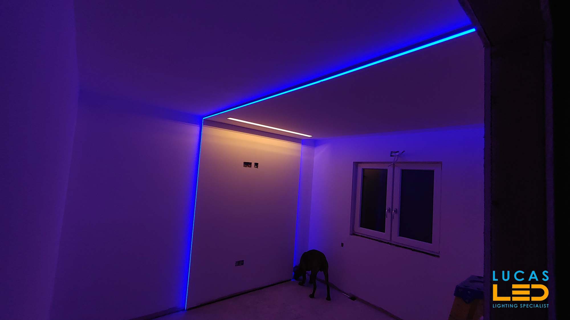 Home
